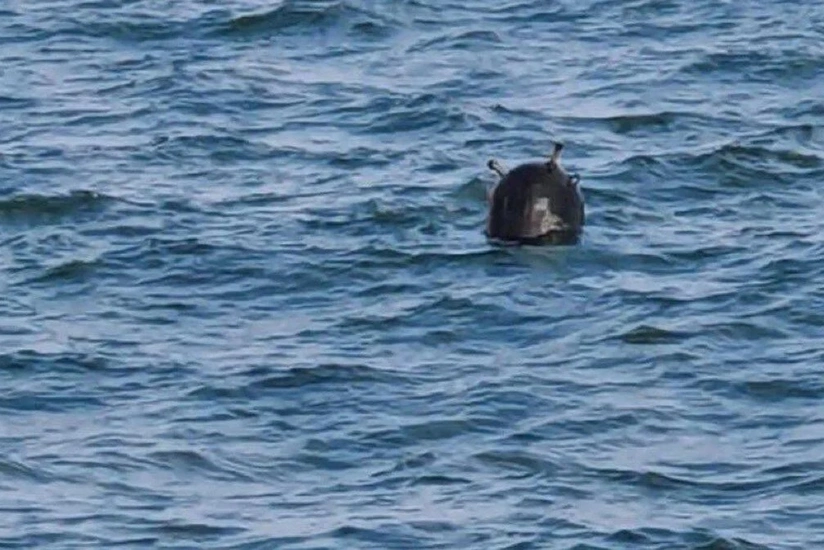 Mine found on Turkish-Bulgarian border