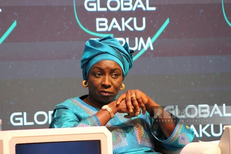Bakı Forumu: “Afrikanın geostrateji əhəmiyyəti: Perspektivlər və çağırışlar” mövzusunda panel iclası keçirilib
