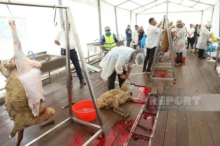 Bakıda Qurban kəsimi - FOTOREPORTAJ