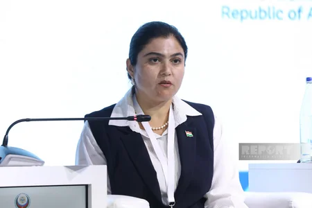 Azerbaijan’s Lachin hosts panel session on women's role in urban development