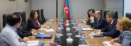 Afrika İttifaqı ilə enerji sektorunda əməkdaşlıq perspektivləri müzakirə olunub