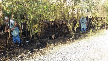 Ağcabədidə 10 ədəd partlamamış hərbi sursat aşkar olunub