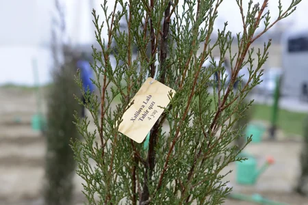 63 trees planted to commemorate 63 children killed in Khojaly genocide