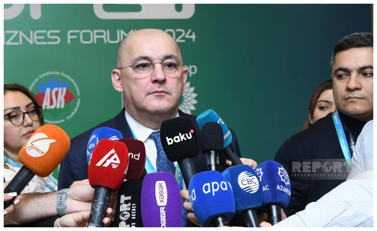 Şahin Bağırov: Büdcə proqnozunu yerinə yetirməyimiz üçün problem yoxdur