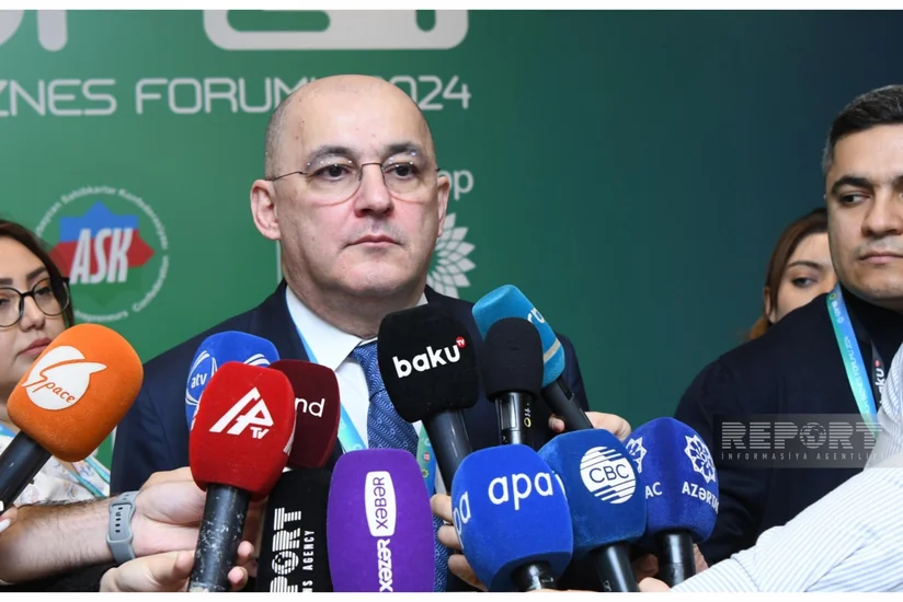 Şahin Bağırov: Büdcə proqnozunu yerinə yetirməyimiz üçün problem yoxdur