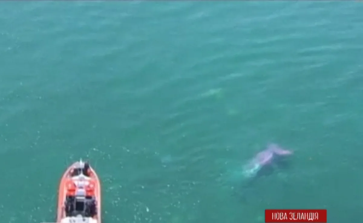 ​В Новой Зеландии пассажиры выпрыгнули из самолета за мгновение до катастрофы