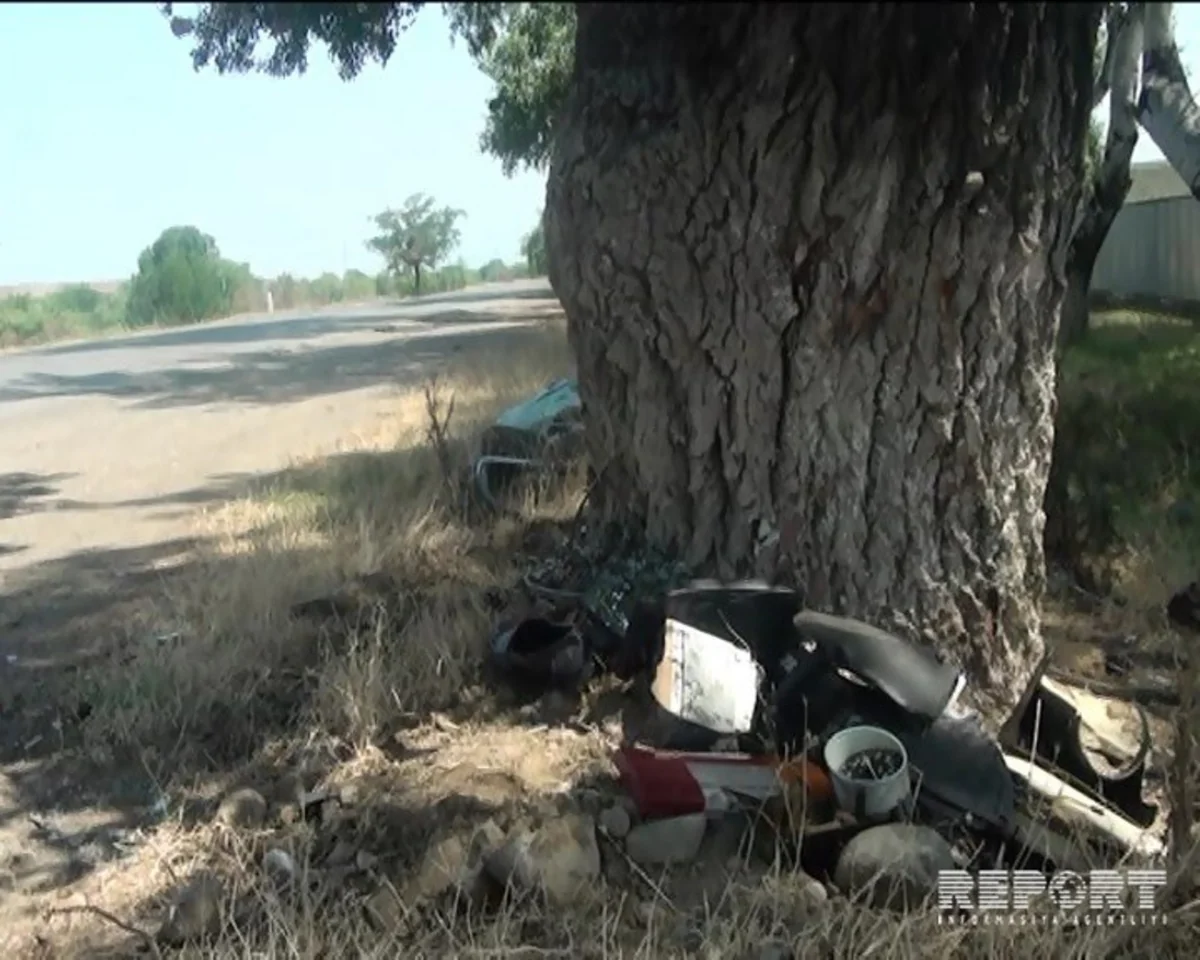 В Геранбое автомобиль врезался в дерево, водитель погиб