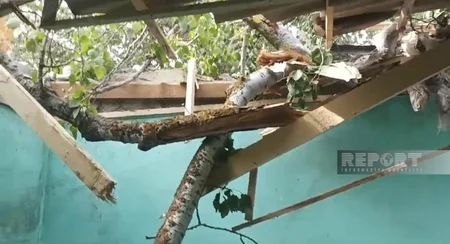 Güclü külək Xaçmazda fəsadlar törədib, xəsarət alanlar var - VİDEO