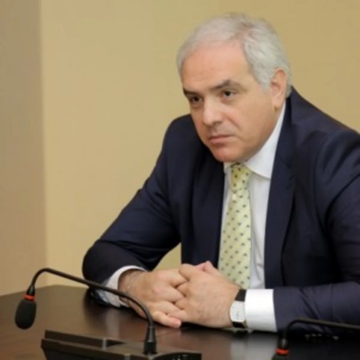 Gürcüstanın daxili işlər naziri Azərbaycana səfərə gəlib