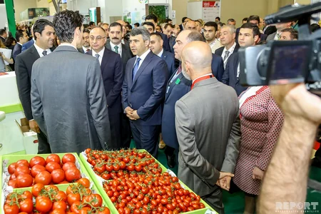 31 ölkəni birləşdirən sərgidən  - FOTOREPORTAJ