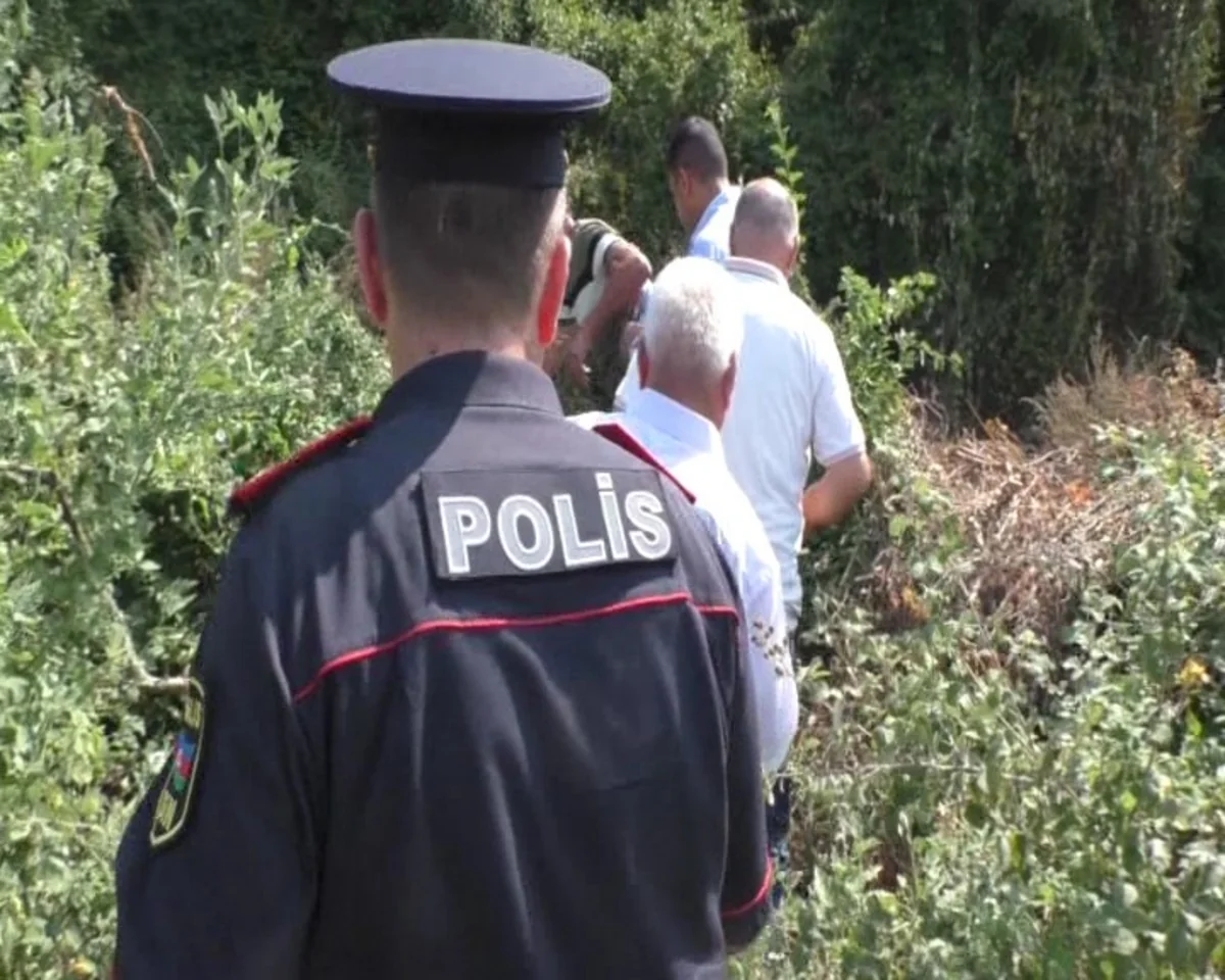 Balakəndə dağın ətəyində narkotik plantasiyası salan keçmiş məhkum saxlanılıb