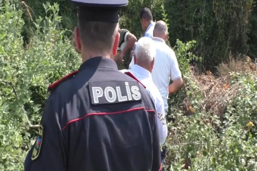 Balakəndə dağın ətəyində narkotik plantasiyası salan keçmiş məhkum saxlanılıb