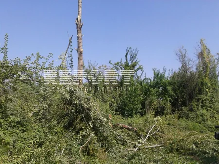 Azərbaycanda güclü külək Göyçay rayonunu elektrik enerjisiz qoyub