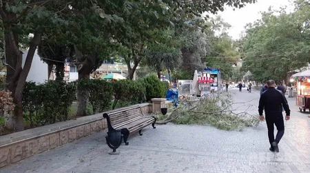 Bakıda parkda ağacın budaqları qırılaraq attraksionların üstünə düşüb - FOTO