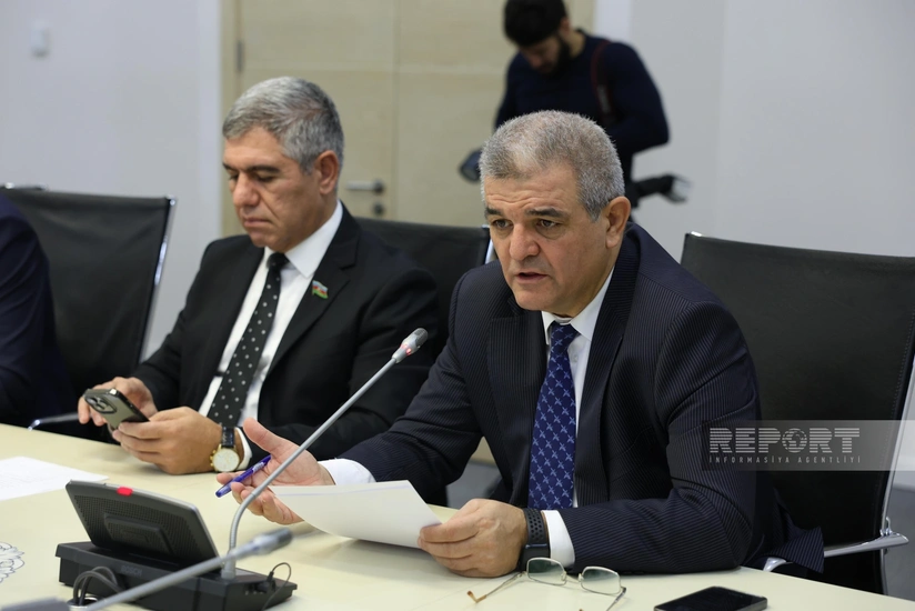 Deputat: Mina terrorundan əziyyət çəkən insanlar üçün sığorta mexanizmləri müəyyən edilməlidir