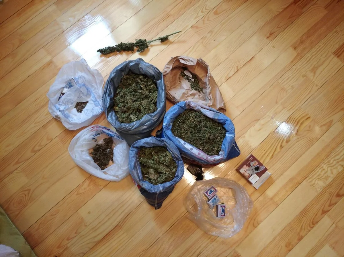Bərdədə 4 kiloqram marixuana aşkarlanıb