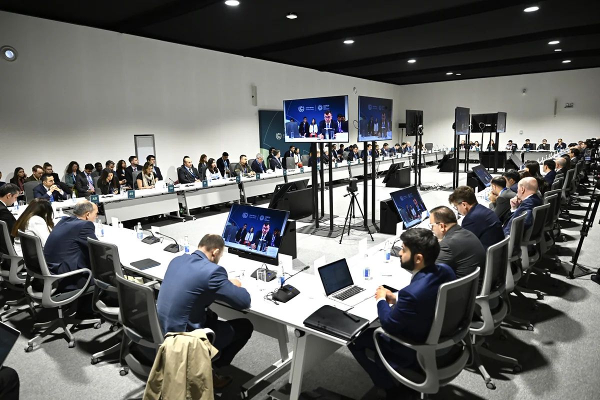 COP29 - effective platform for increasing climate resilience