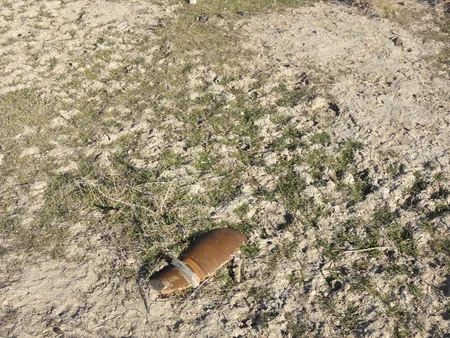 Xızıda 23 ədəd partlamamış hərbi sursat, 110 ədəd mərmi qalıqları tapılıb