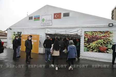 Bakıda arıçılıq məhsullarının Respublika Sərgi-Satış Yarmarkası keçirilir