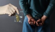 Охранники тюрьмы в Армении обнаружили у медсестры около 43 граммов наркотиков