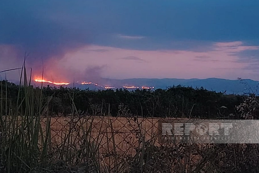 Ağdərədə baş verən meşə yanğını küləyin təsirilə Ağdama yayılıb