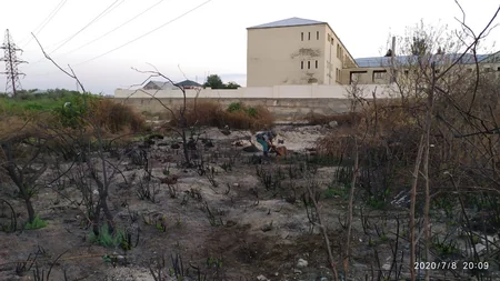 В Сумгайыте обнаружили сотни патронов  