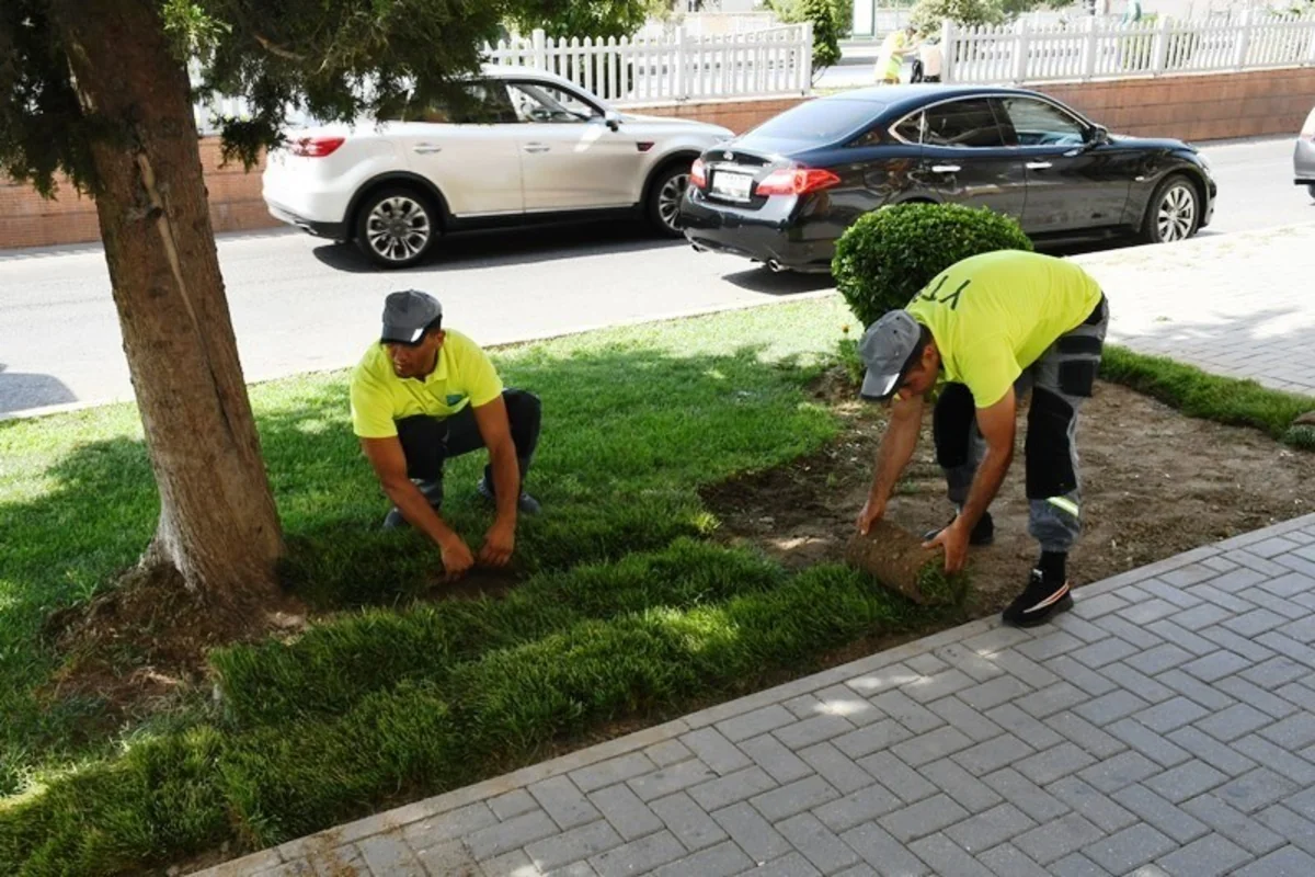 Bu gün Bakının 554 küçəsi yuyulub - YENİLƏNİB