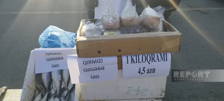 Qubada bayram yarmarkası təşkil olunub