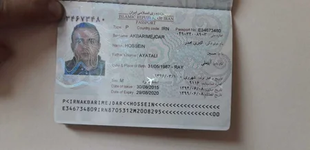 State Customs Service prevents smuggle of narcotic substances from Iran to Azerbaijan - PHOTO