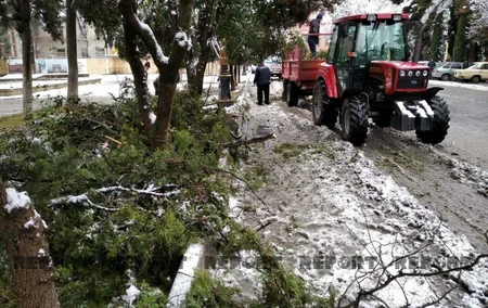 Gəncədə qar bəzi fəsadlar yaradıb - YENİLƏNİB