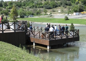 Foreign diplomats release fish into Hakari river