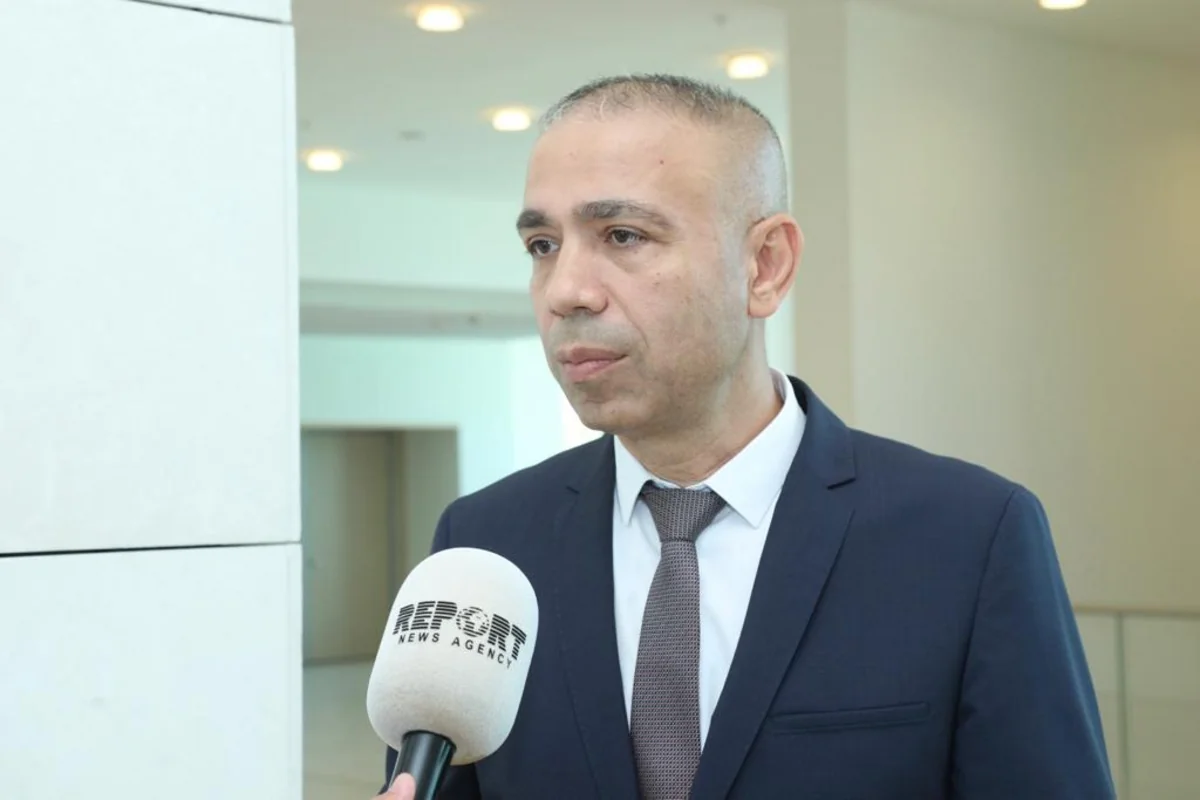 Elnur Soltanov: “Azərbaycanın “yaşıl enerjisi”nə yatırım edənlər özünü isbat etmiş şirkətlərdir”