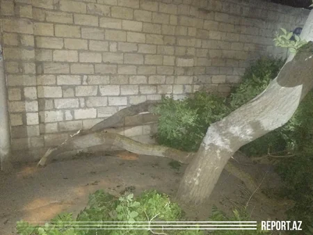 Güclü külək paytaxtda bir sıra fəsadlar törədib