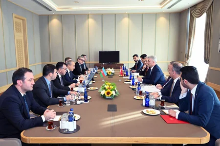 Ministers discuss Azerbaijan-Türkiye cooperation in renewable energy sector