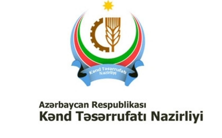 ​Bakıda Yay Süd Sammiti və Beynəlxalq Pendir Forumu keçiriləcək