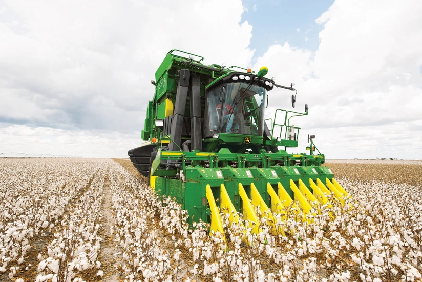 Azərbaycanda bu günə qədər 127 min tona yaxın pambıq yığılıb