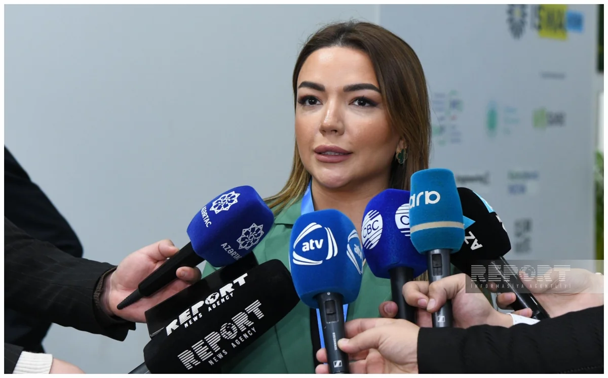Айгюн Алиева: Необходимо обеспечить эффективность мер в борьбе с изменением климата