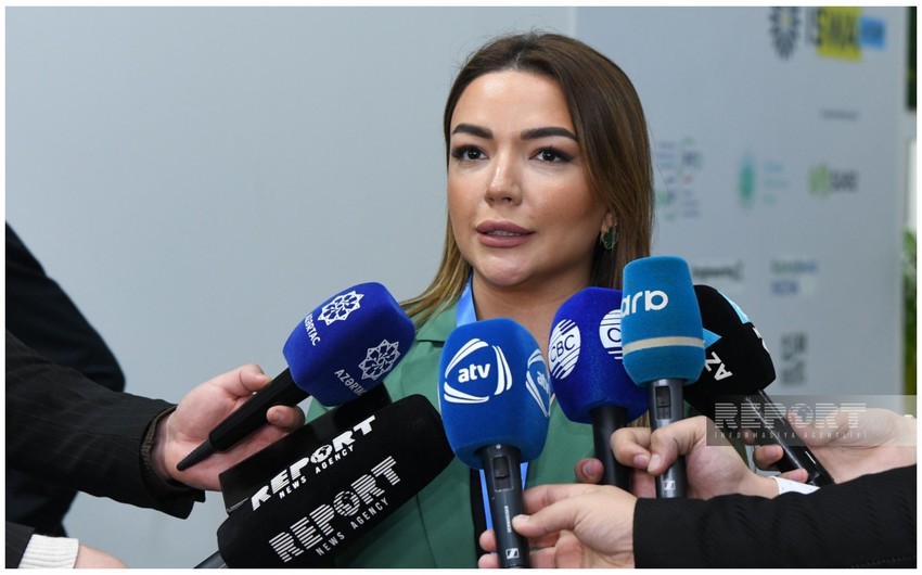 Dövlət Agentliyinin icraçı direktoru: COP29 bütün səslərin eşidilməsini təmin etməkdə mühüm addımlar atıb