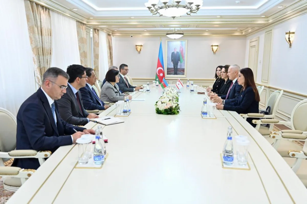 Speaker of TRNC thanks Azerbaijan for establishing working group on inter-parliamentary relations