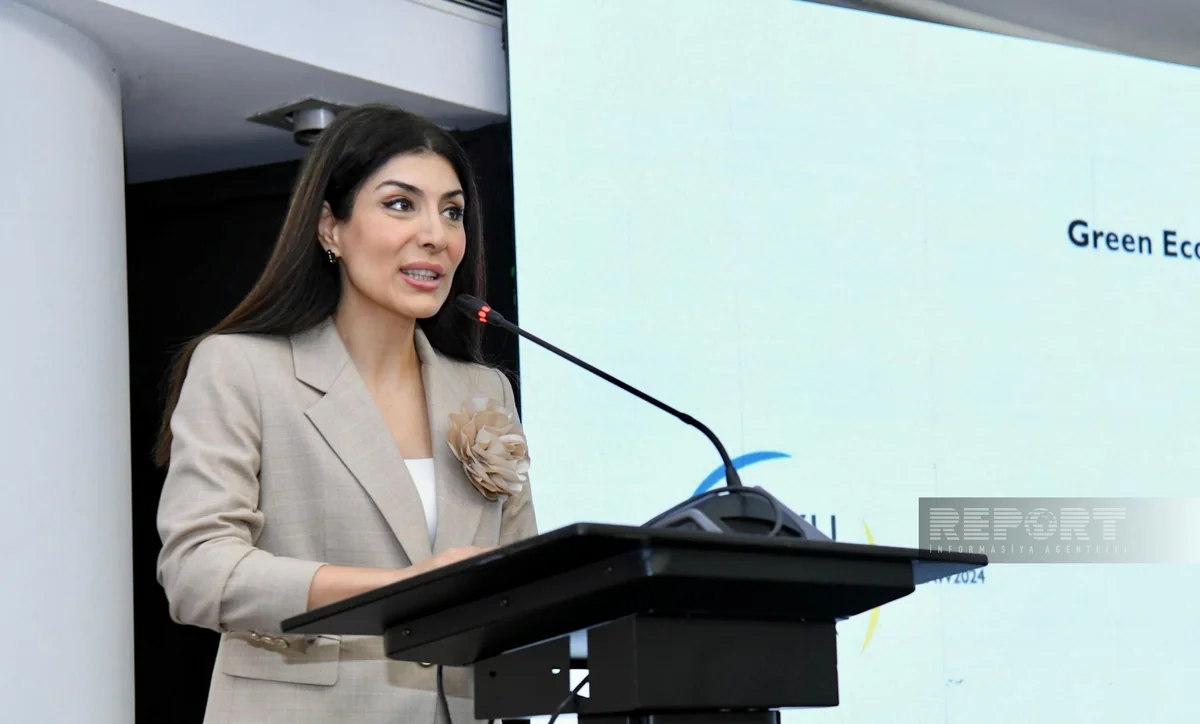 Nigar Arpadarai: “Yaşıl kapitalın qlobal axını təmin edilməlidir