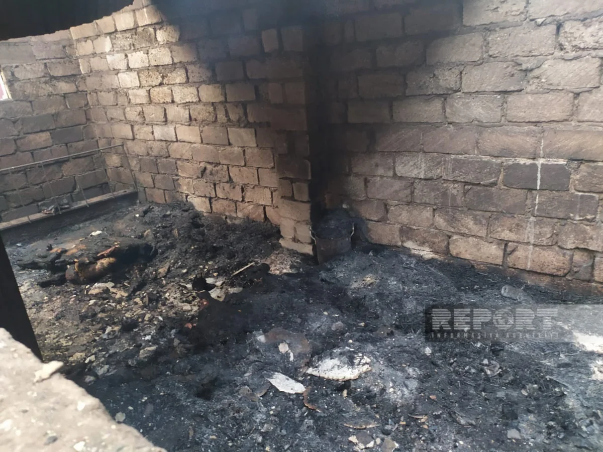 Şabranda tövlə yanıb, mal-qara və ev quşları tələf olub