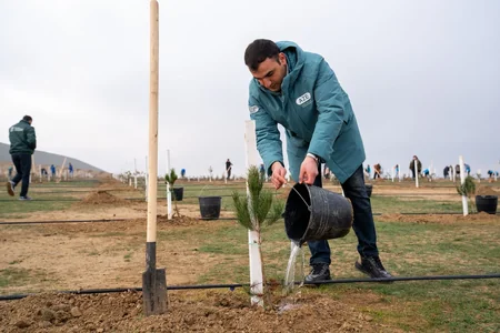 Gənclər Günü münasibətilə ağacəkmə aksiyası keçirilib, gələcək üçün yeni, sağlam dünya yaratmağa çağırış edilib