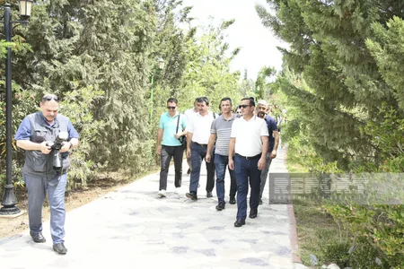 SOCAR karbon kreditlərinin növbəti satışına hazırlaşır