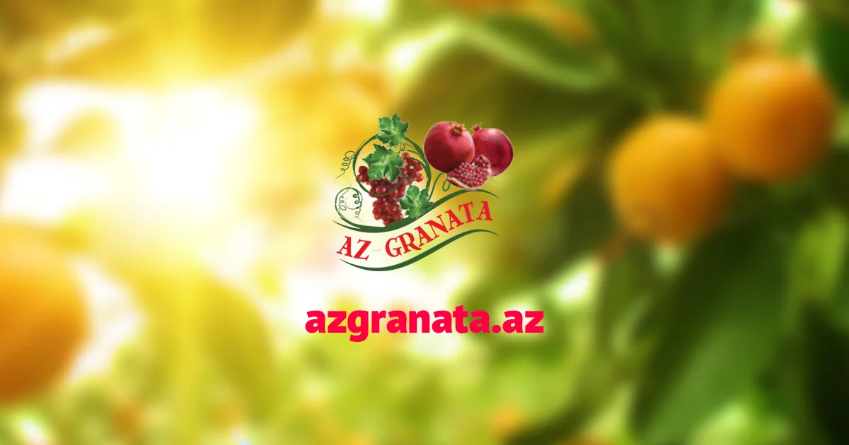 “AZGRANATA” Silahlı Qüvvələrə Yardım Fonduna 100 min manat köçürdü