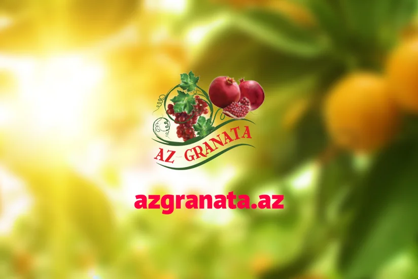 “AZGRANATA” Silahlı Qüvvələrə Yardım Fonduna 100 min manat köçürdü