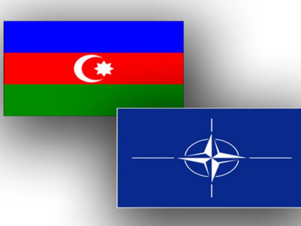 Bakıda Azərbaycan və NATO arasında əməkdaşlıq perspektivləri müzakirə olunub