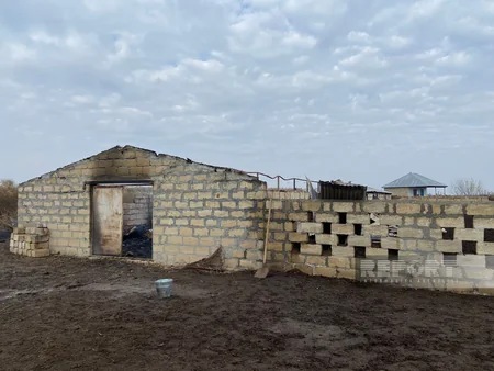 Kürdəmirdə tövlədə yanğın baş verib, 39 baş iri buynuzlu heyvan tələf olub