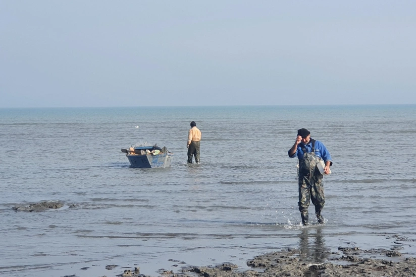 Qanunsuz ov edənlər cəzalandırılıb