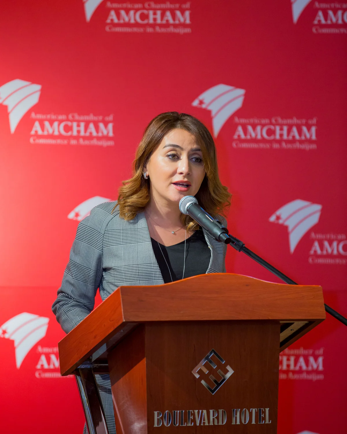 AmCham Azərbaycanın məhkəmə-hüquq sistemində aparılan islahatları alqışlayır