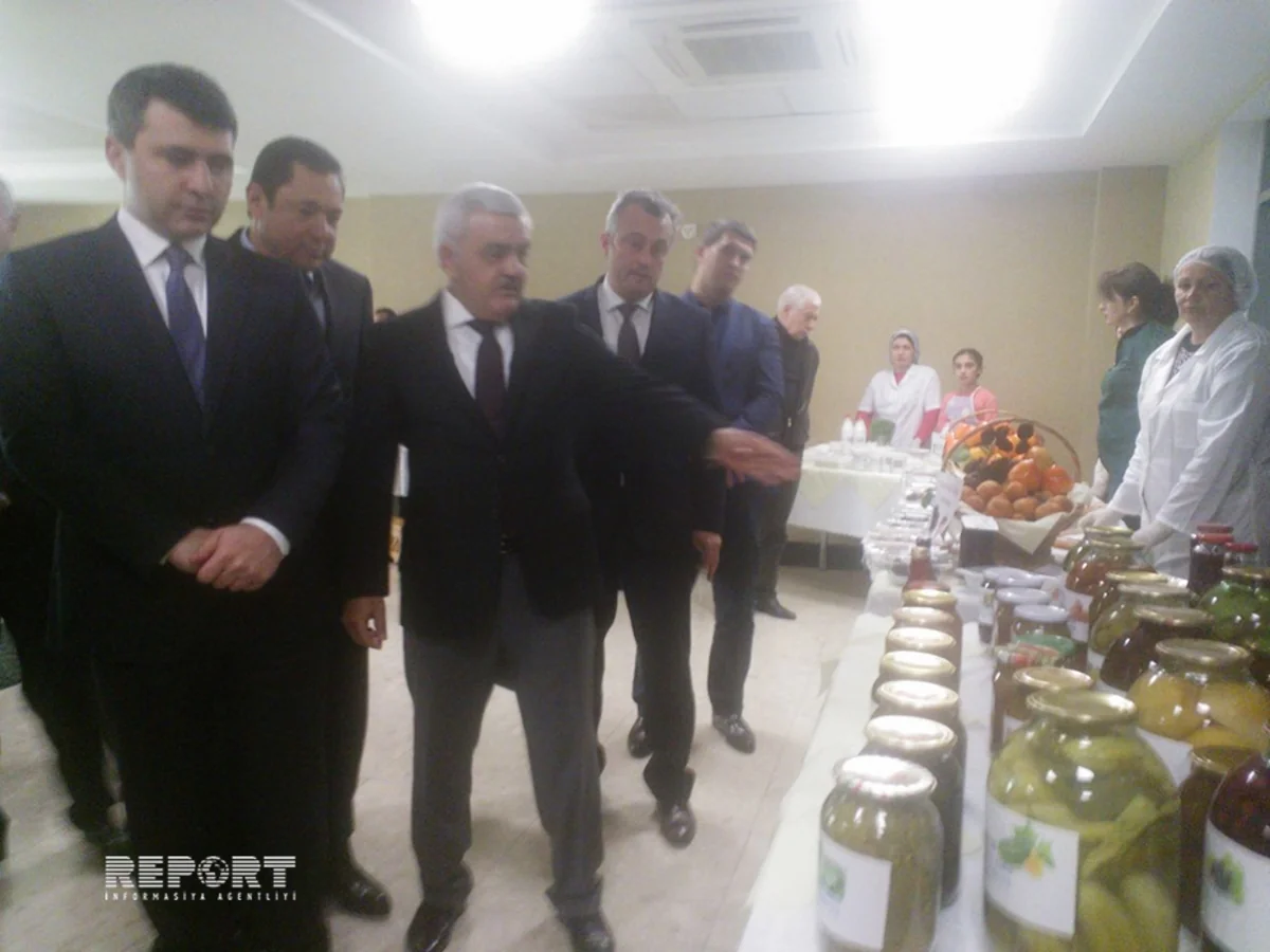 Balakəndə ABAD xidməti layihəsinin təqdimatı keçirilib - FOTO
